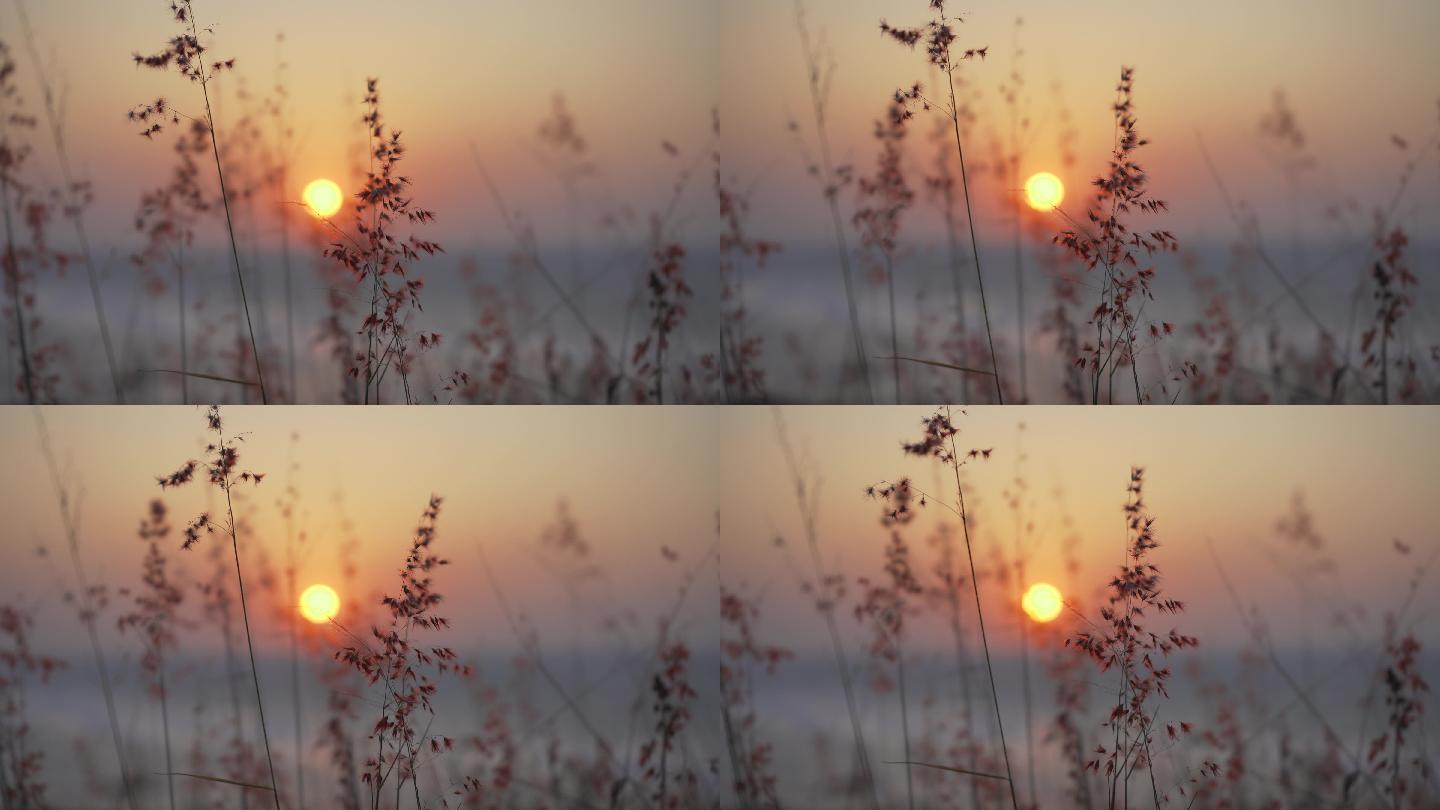 夕阳落日风景空镜