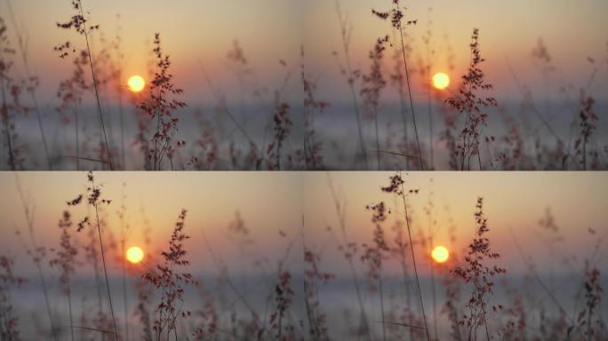 夕阳落日风景空镜