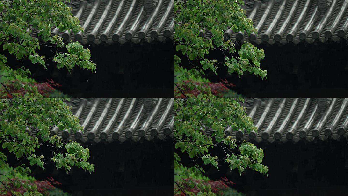 杭州 寺庙 古风 下雨天 屋檐 树枝