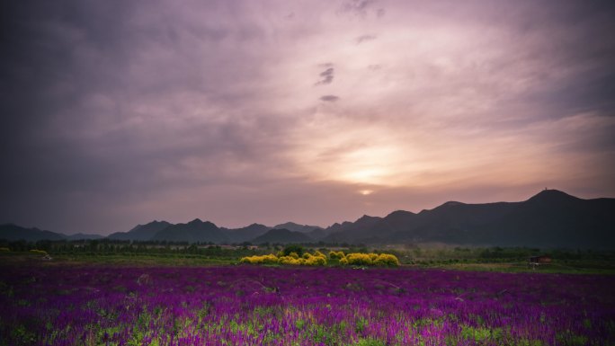 北京昌平七孔桥花海景区延时摄影