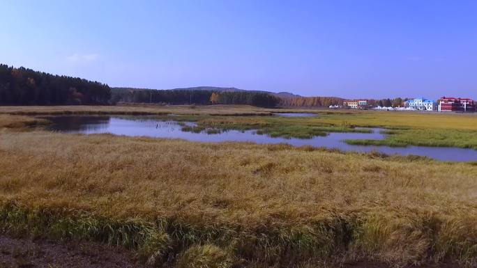 航拍塞罕坝草原深秋风景鸟瞰湖泊湿地