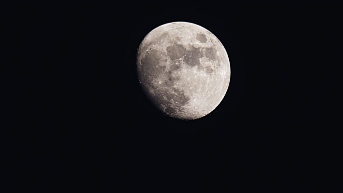月亮在夜间移动寂静圆月明月树梢明月