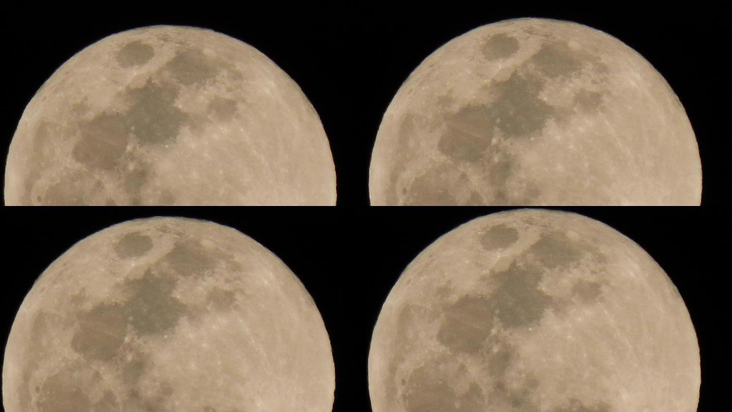 蝙蝠飞过满月满月月球表面自然