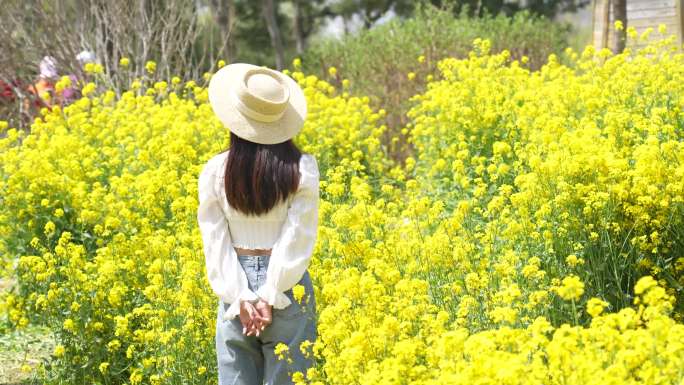 情侣拍照，油菜花海