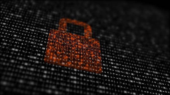 网络安全加密技术保护数据隐私
