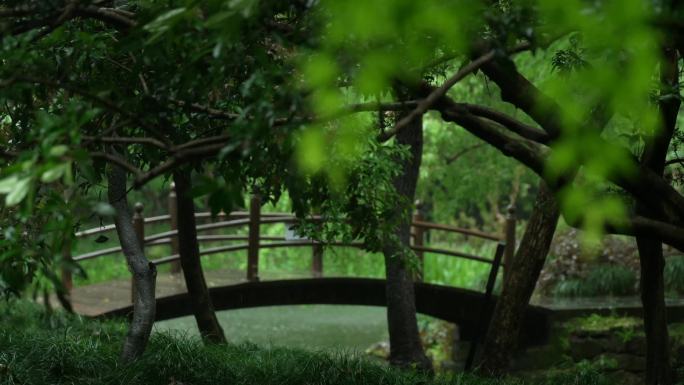 175杭州 风景 古风 下雨天 小桥树枝
