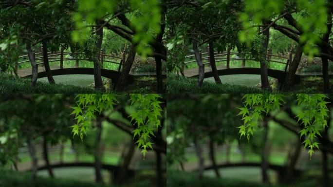 175杭州 风景 古风 下雨天 小桥树枝