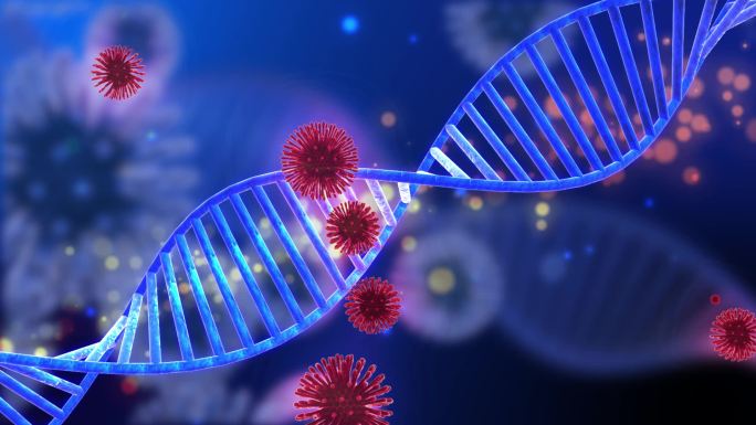 新冠病毒DNA运动链条