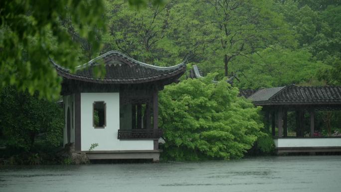 185 杭州 古风 下雨天 树枝 亭子