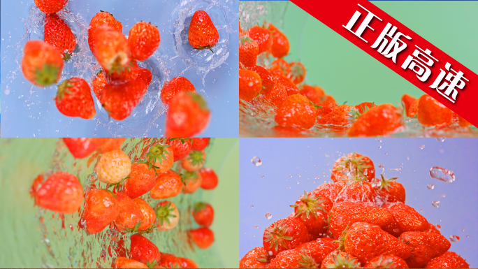 草莓生长水果草莓种植成熟饮料果园采摘草莓