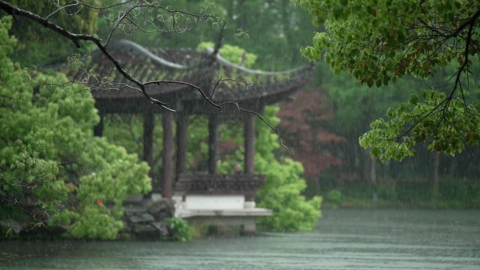 154杭州 风景 古风 下雨天 亭子树枝
