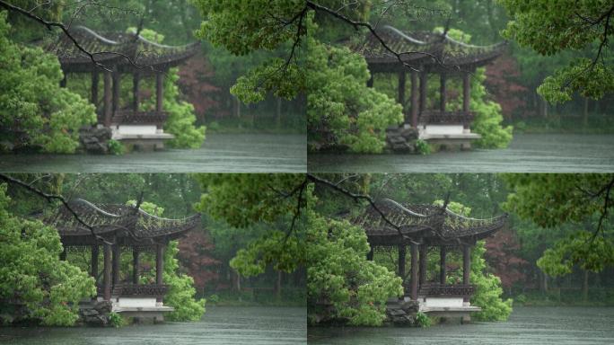 154杭州 风景 古风 下雨天 亭子树枝