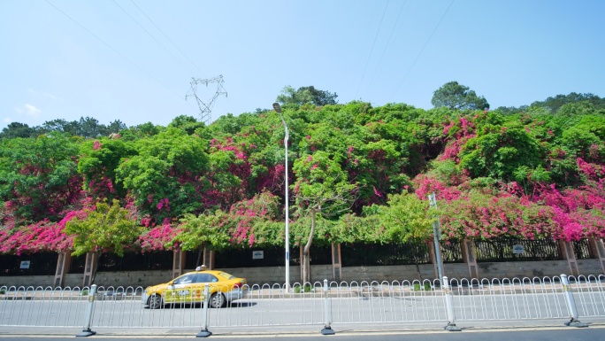 广西南宁青环路街景