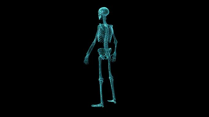 人体骨架三维可视化全息图