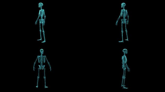 人体骨架三维可视化全息图