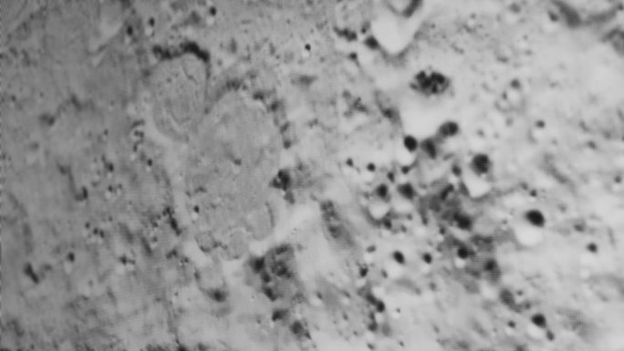 月球表面陨石坑月壤陨石
