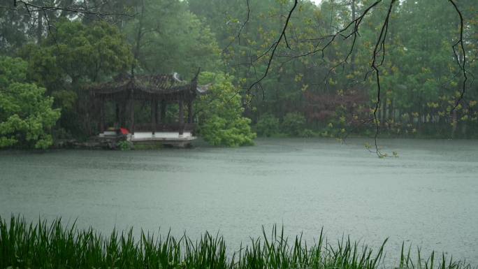 157杭州 风景 古风 下雨天 亭子树枝