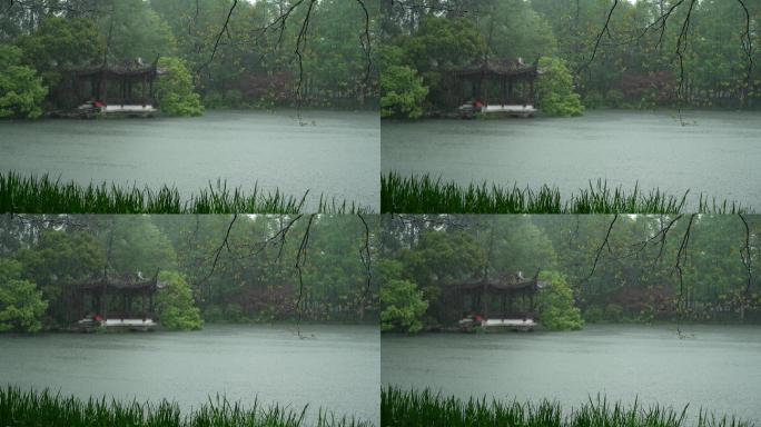 157杭州 风景 古风 下雨天 亭子树枝