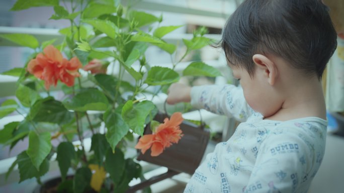 儿童在给植物浇水小孩浇花