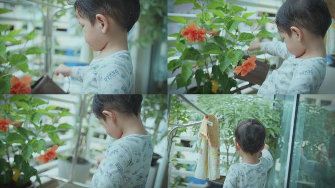儿童在给植物浇水小孩浇花