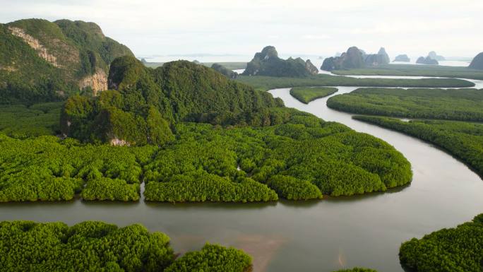 河流森林航拍雨林森林河流