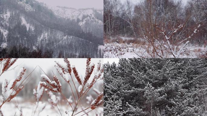 雪景