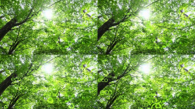 生态理念与环境绿色自然