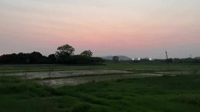 夜幕降临春天刚插秧的水田与远处的村庄