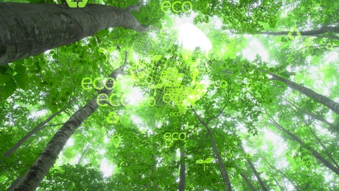 生态理念与环境绿色科技人与自然低碳环保