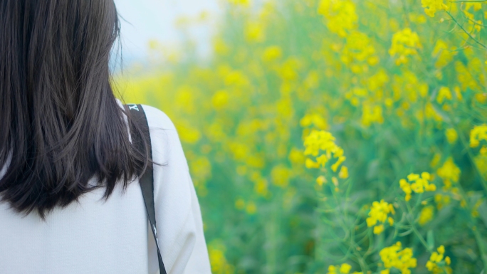 【4K】春天唯美油菜花女孩