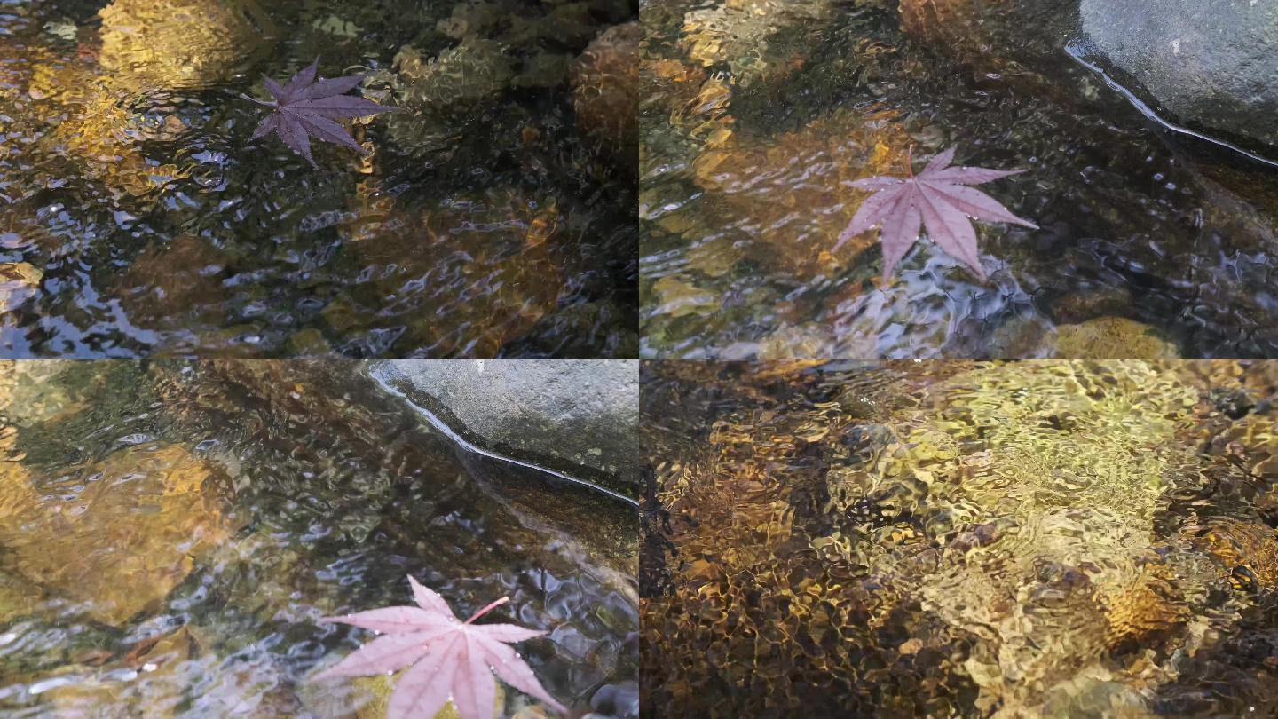 唯美空镜，枫叶在水中飘过