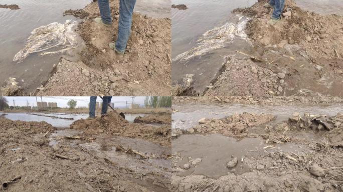 浇地 灌溉 农民 井水 地下水 农田水利