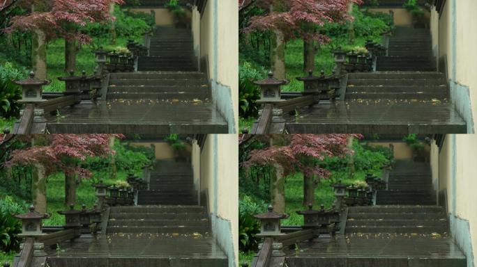 杭州 寺庙 古风 下雨天 小道 树枝