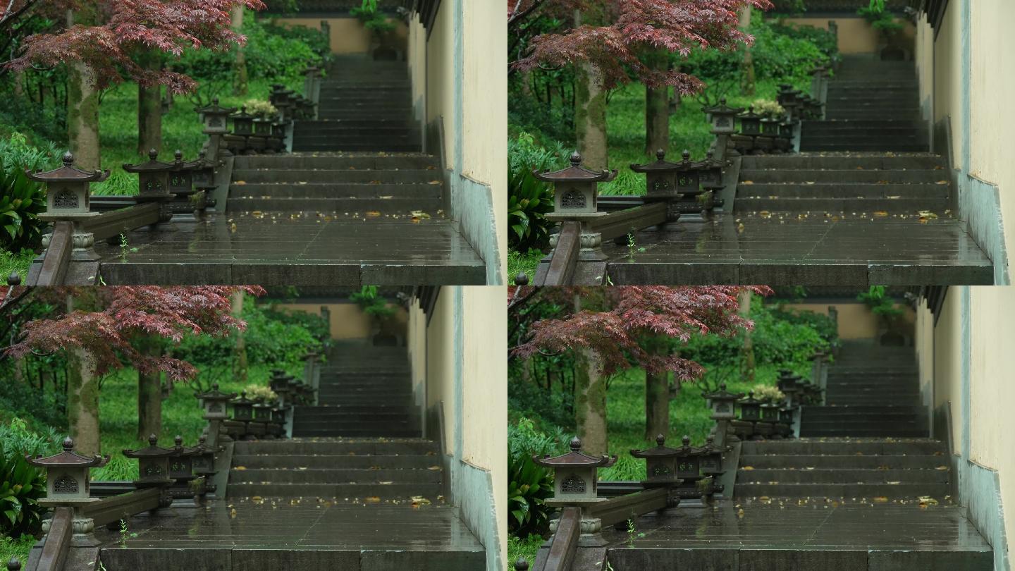 杭州 寺庙 古风 下雨天 小道 树枝