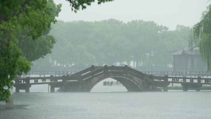 杭州 古风 下雨天 小溪 树枝  廊桥