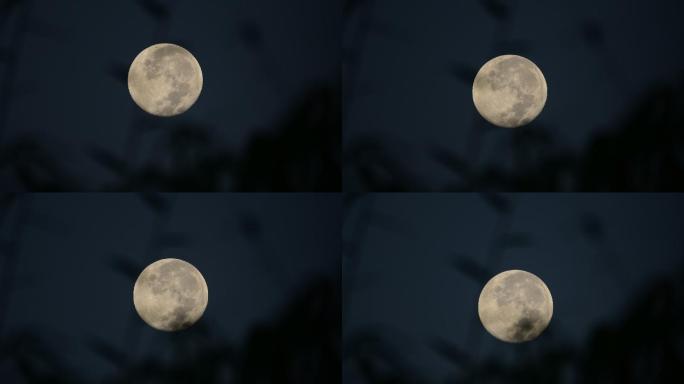 满月太空月表陨石坑视频素材