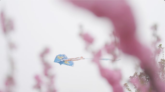 风筝在花丛中飞过唯美意境