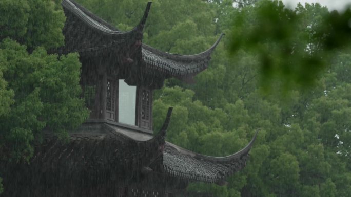 杭州 古风 下雨天 亭子 树枝