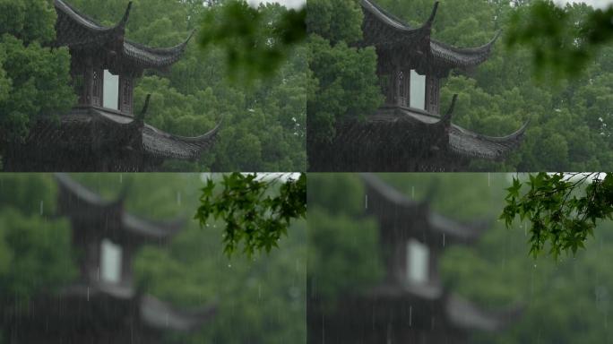 杭州 古风 下雨天 亭子 树枝