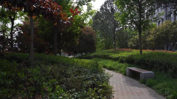 校园建筑物绿植c