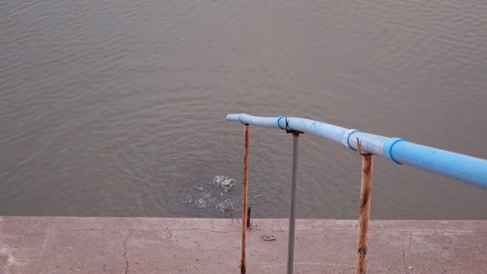 通过河中的长PVC管喂鱼