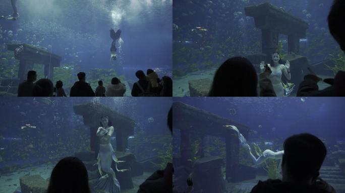 海底世界美人鱼表演