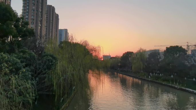 河流 大运河 夕阳 落日 河边 柳树
