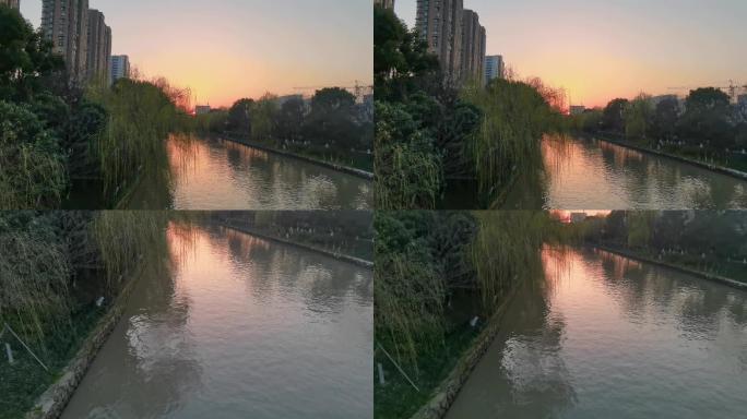 河流 大运河 夕阳 落日 河边 柳树