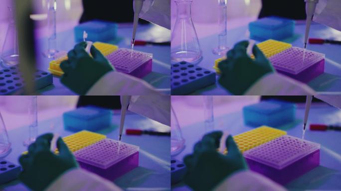 基因分子实验室：分离病毒变种的DNA研究