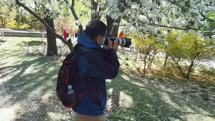 公园 摄影师 拍摄鲜花 北京地标