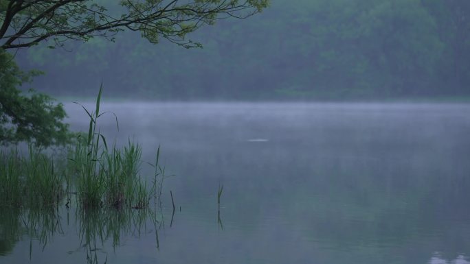 2 杭州 西湖 雾气 水面 风景