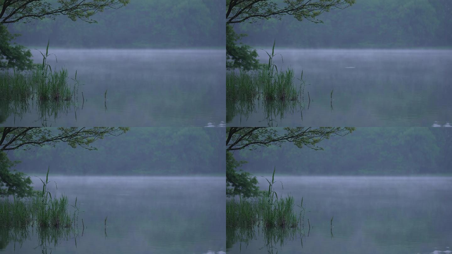 2 杭州 西湖 雾气 水面 风景