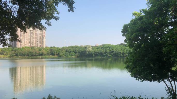 湖边 湖景 南宁 郊外 水面 春游