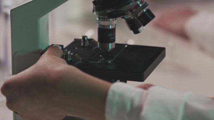 科学家将载玻片和科学样品放在显微镜下